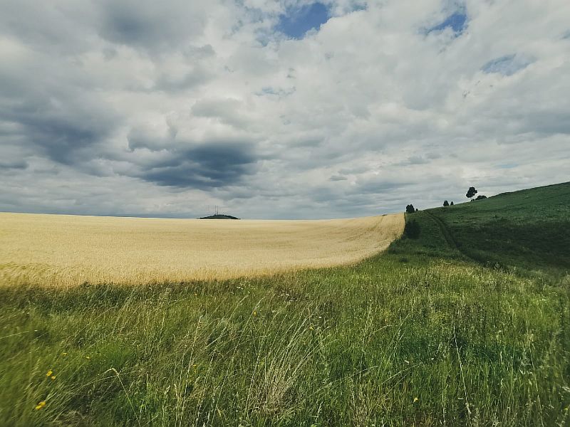 Фотографии.